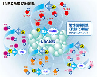 common-main_anzen_pict1