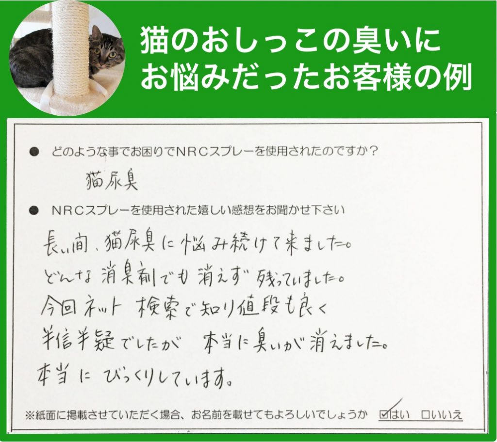 猫の家の中のマーキング スプレー の原因と対処法 しつけや臭い消しの方法は